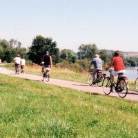 Fietsen langs de Moezel